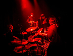 Mancy Sono, Den Der Hale