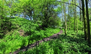 Nejlépe dochované těleso valu