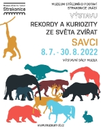 Rekordy a kuriozity ze světa zvířat