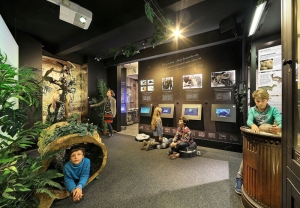 Expozice Muzeum Karla Zemana