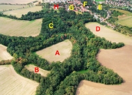 Raně středověké hradiště ve Vinoři