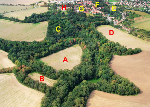 Raně středověké hradiště ve Vinoři