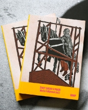 Kniha Život sochy v Praze, Marie Foltýnová