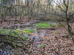 Zaniklá osada a tvrziště Slavětice