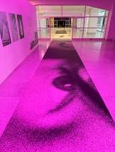 Výstava Libuše Jarcovjákové ve Veletržním palácircovjakova_01