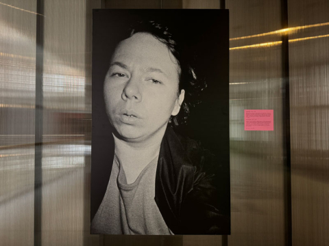 Retrospektivní výstava fotografky Libuše Jarcovjákové