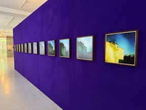 Libuše Jarcovjáková, Domov