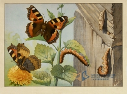 Bzukot školních zahrad