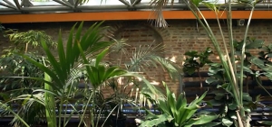 Původní renesanční zeď