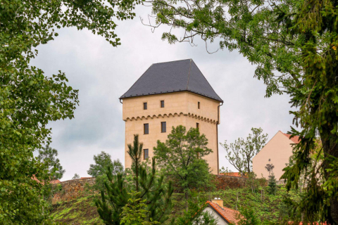 Tvrz a vrchnostenský dvůr v Královicích