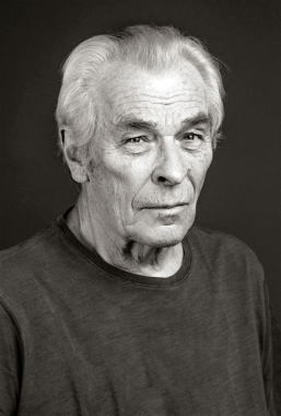 Ohlédnutí - Alois Švehlík