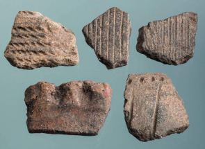 Pravěké výšinné sídliště V Obůrkách