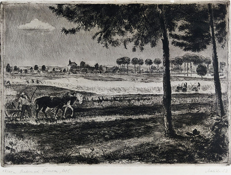 Karel Malich, Ředice od Žernova, 1952