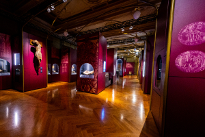 Výstava Premyslovci2