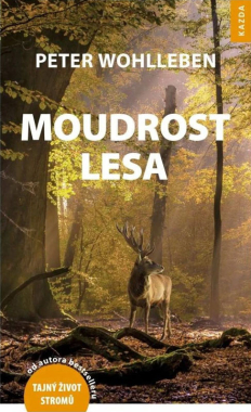 Moudrost lesa